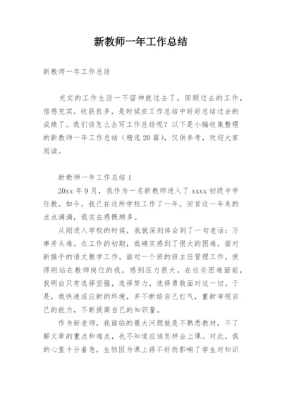 新教师一年工作总结_1.docx