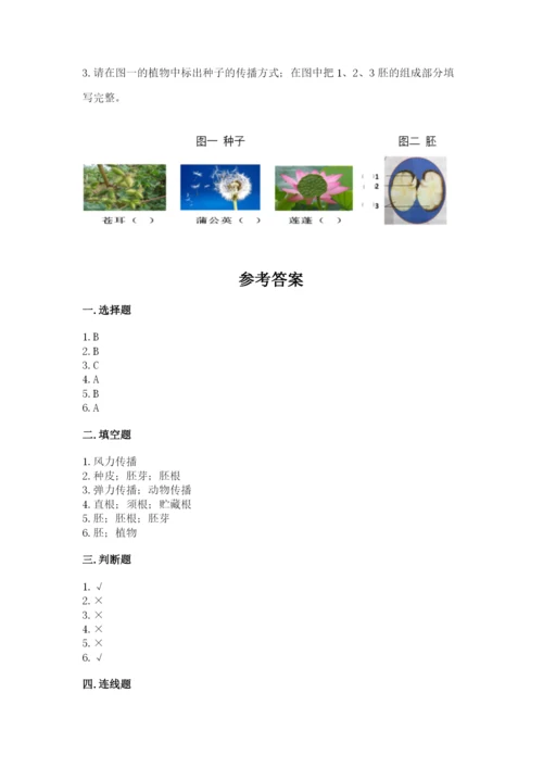 科学四年级下册第一单元《植物的生长变化》测试卷及答案【各地真题】.docx