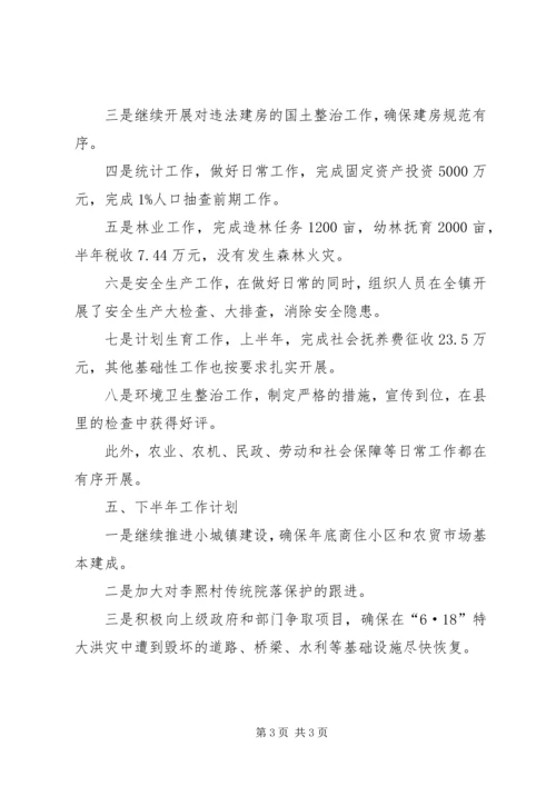 乡镇政府半年总结和下半年工作计划.docx