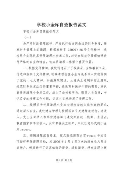 学校小金库自查报告范文.docx