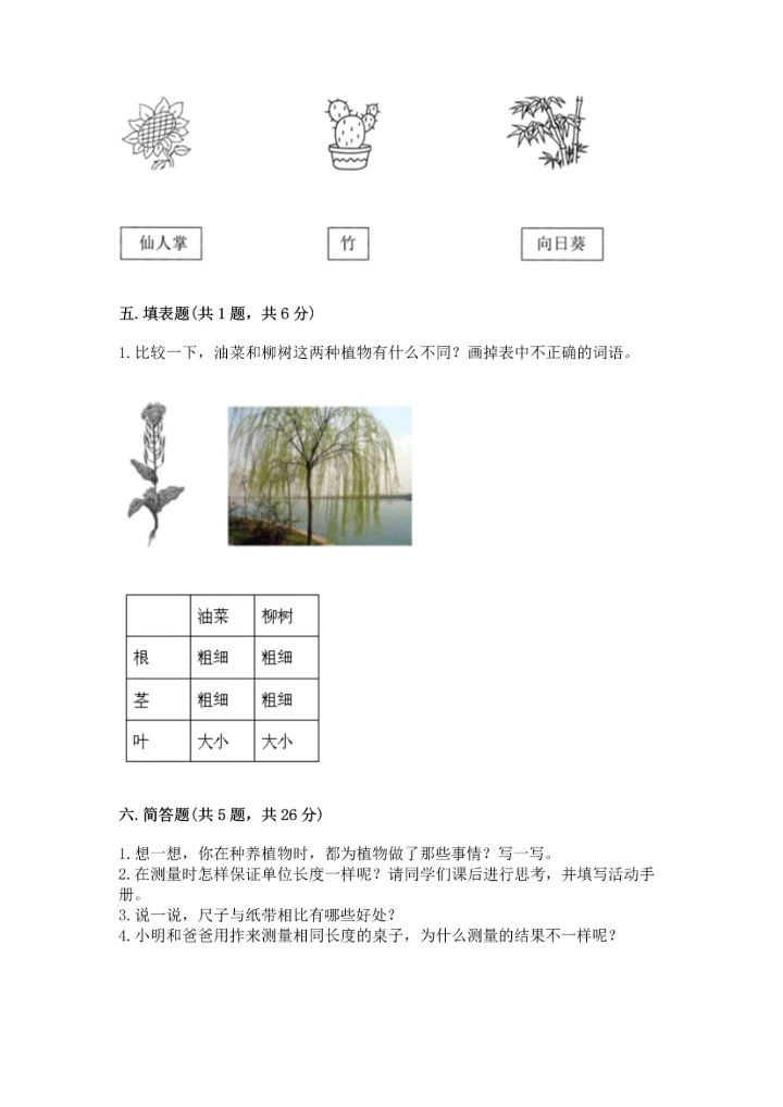 教科版一年级上册科学期末测试卷（满分必刷）.docx