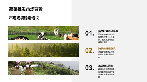 掌握蔬菜市场脉动