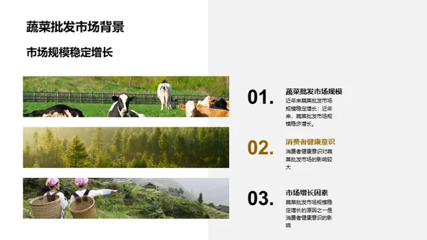 掌握蔬菜市场脉动