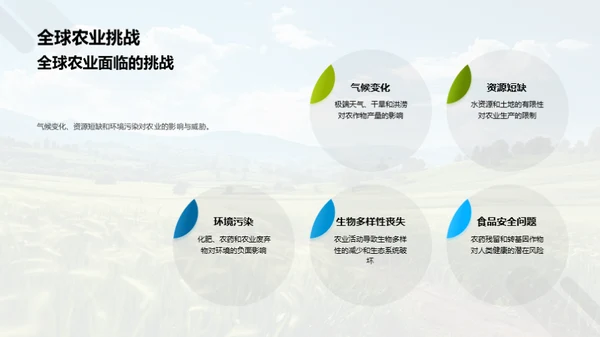 绿色农业的可持续之路
