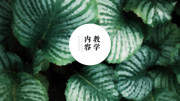 清新绿色教师说课通用PPT模板
