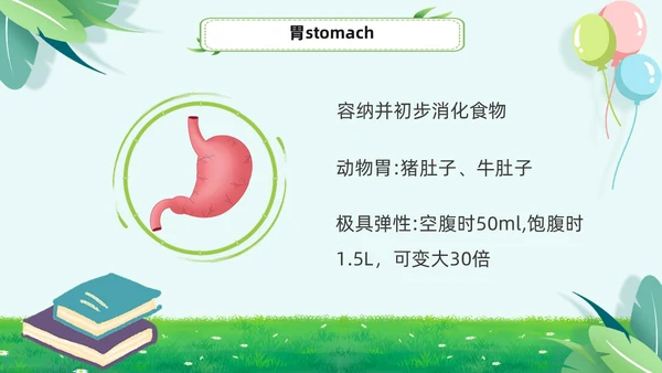 绿色小清新淡雅简约身体器官知多少幼儿园医学科普课件PPT