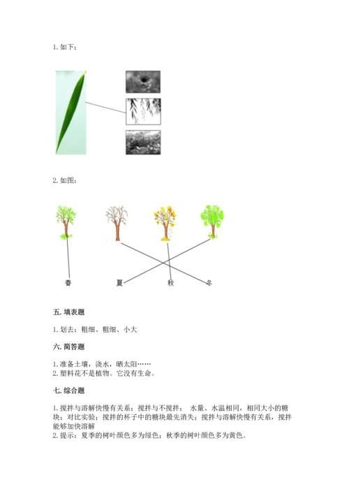 教科版科学一年级上册第一单元《植物》测试卷（全优）.docx