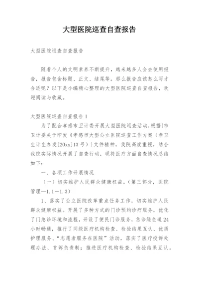 大型医院巡查自查报告.docx