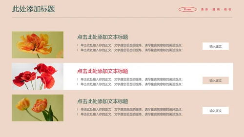 彩色花卉小清新通用PPT演示模板
