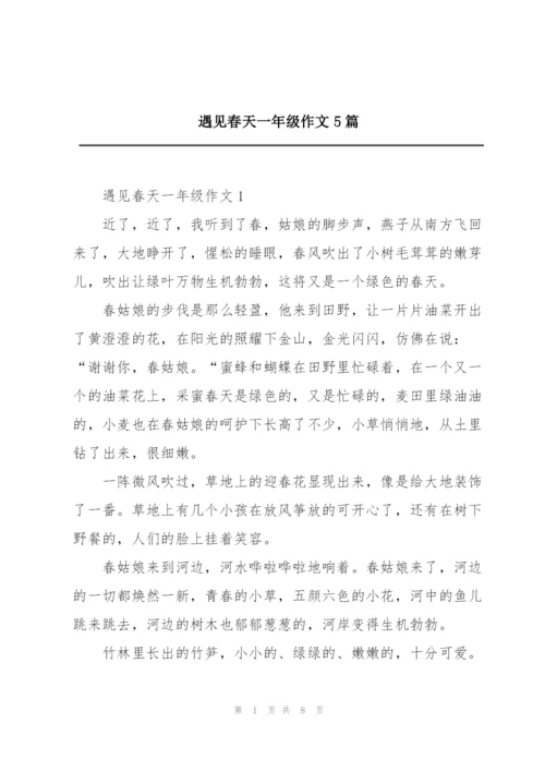 遇见春天一年级作文5篇.docx