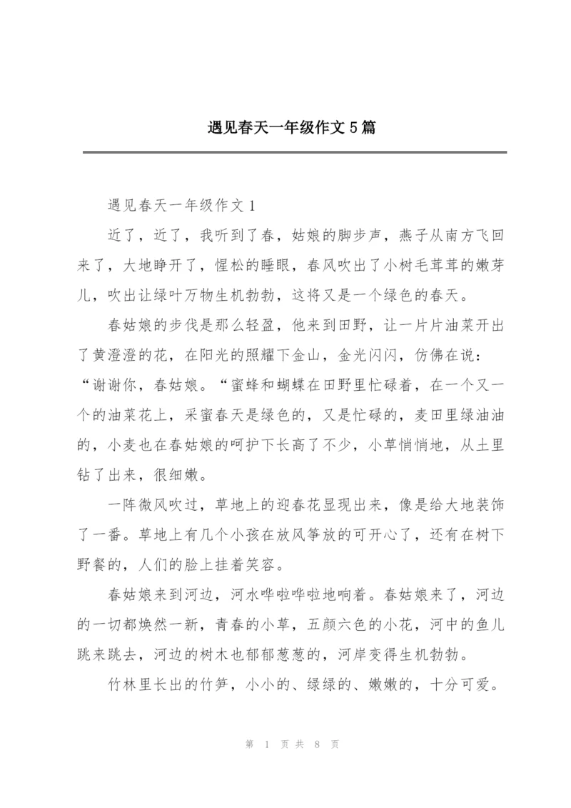 遇见春天一年级作文5篇.docx