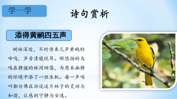 1.古诗三首 三衢道中   (教学课件）