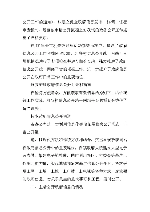 政府信息公开工作汇报