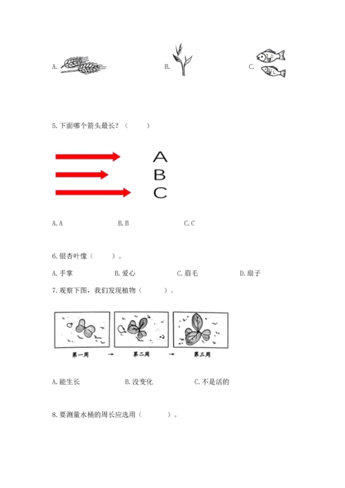 教科版一年级上册科学期末测试卷附参考答案（预热题）.docx