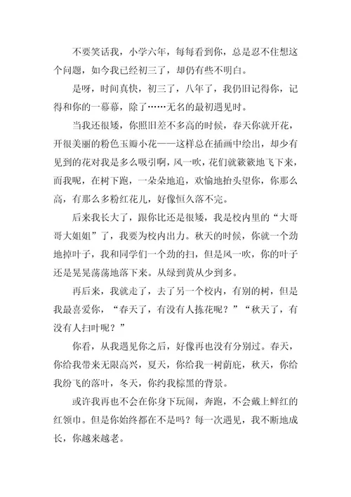 2024年遇见初三优秀作文
