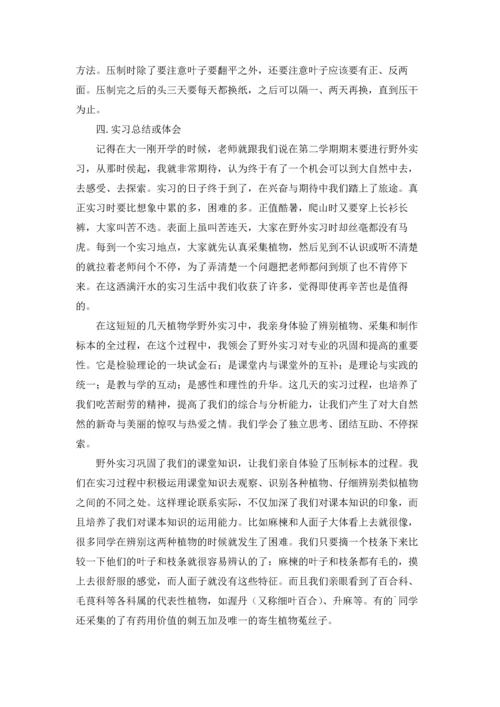 植物学实习报告合集七篇.docx