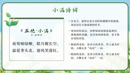 绿色清新国潮二十四节气之小满带内容PPT模板
