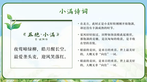 绿色清新国潮二十四节气之小满带内容PPT模板