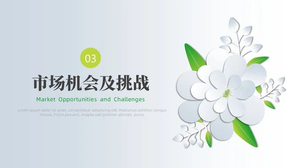 小清新创业项目计划书PPT模板商业计划书