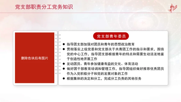 党支部职责分工党务知识工作职责介绍党课