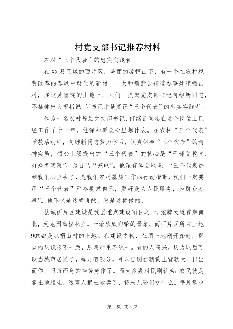 村党支部书记推荐材料.docx