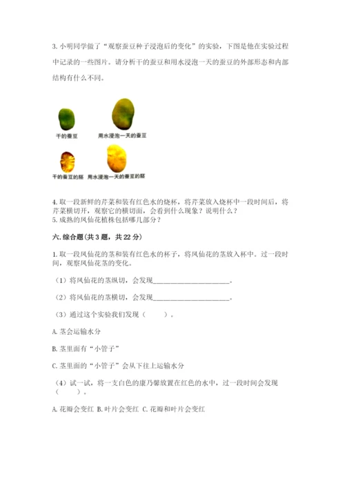 科学四年级下册第一单元植物的生长变化测试卷附完整答案（历年真题）.docx