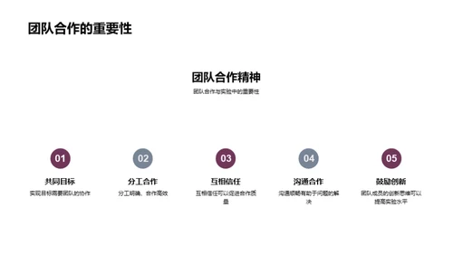 科学实验解析