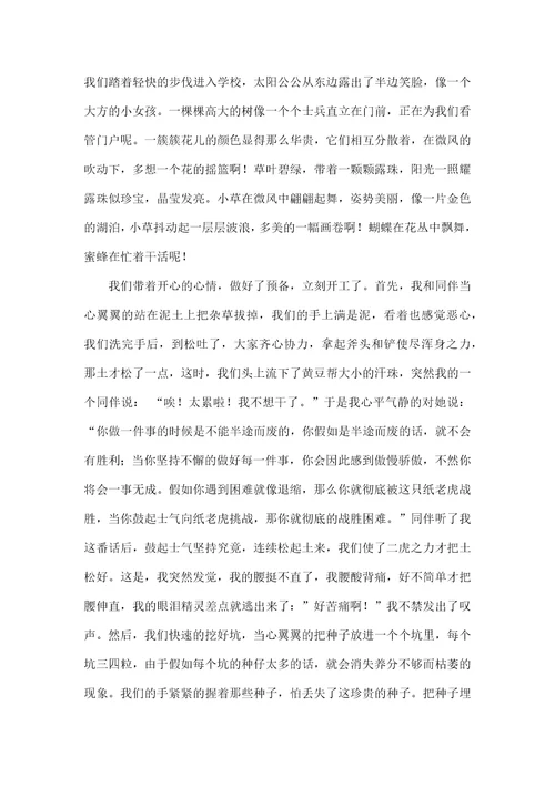 关于家务劳动的心得体会10篇