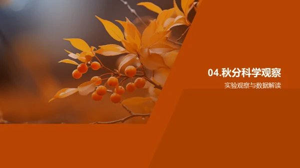 秋分之谜科学探索