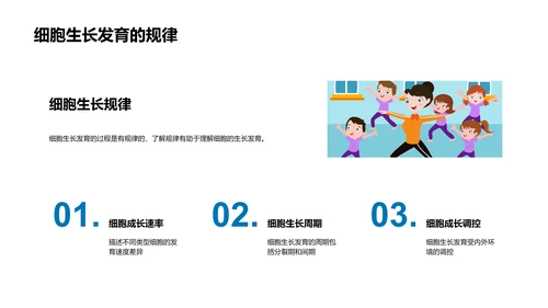 细胞结构与功能解读PPT模板