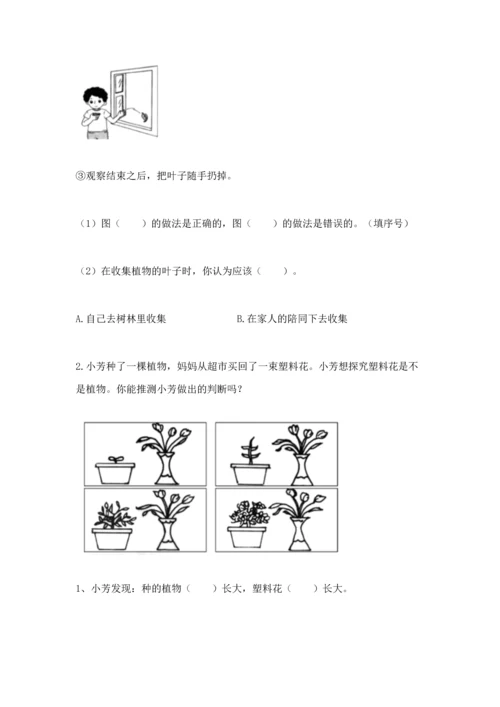 教科版科学一年级上册第一单元《植物》测试卷精品（夺冠系列）.docx