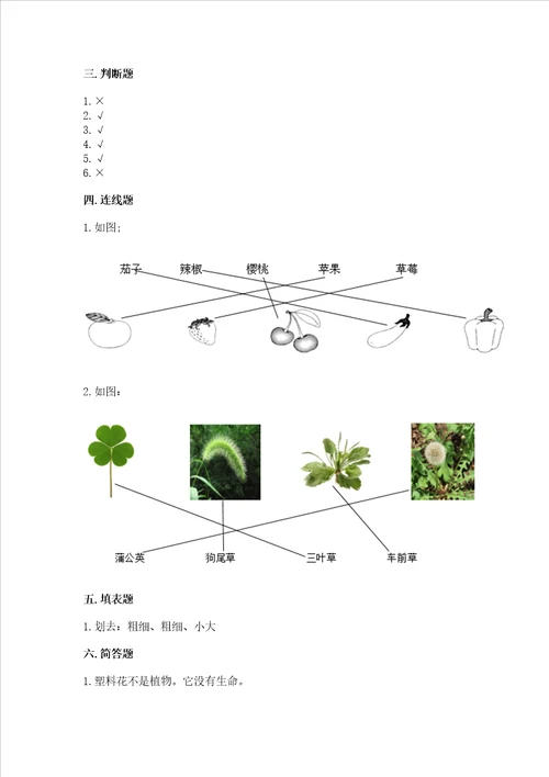 教科版科学一年级上册第一单元植物测试卷附答案名师推荐