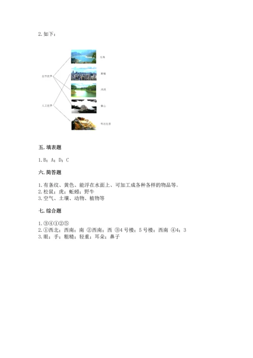 教科版科学二年级上册《期末测试卷》含答案（精练）.docx