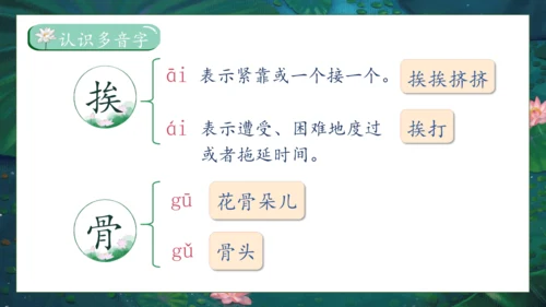 【核心素养】部编版语文三年级下册-3. 荷花 第1课时（课件）