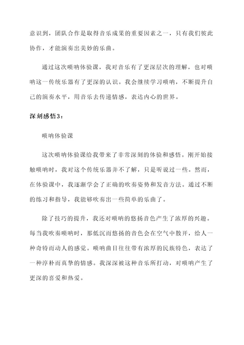 唢呐体验课的感想