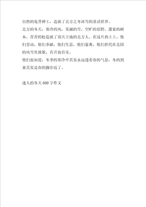 迷人的冬天600字作文