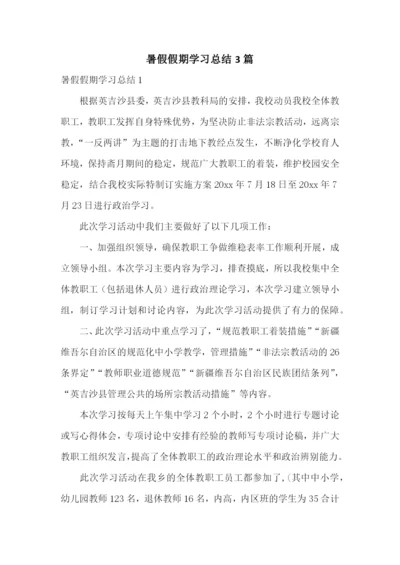 暑假假期学习总结3篇.docx