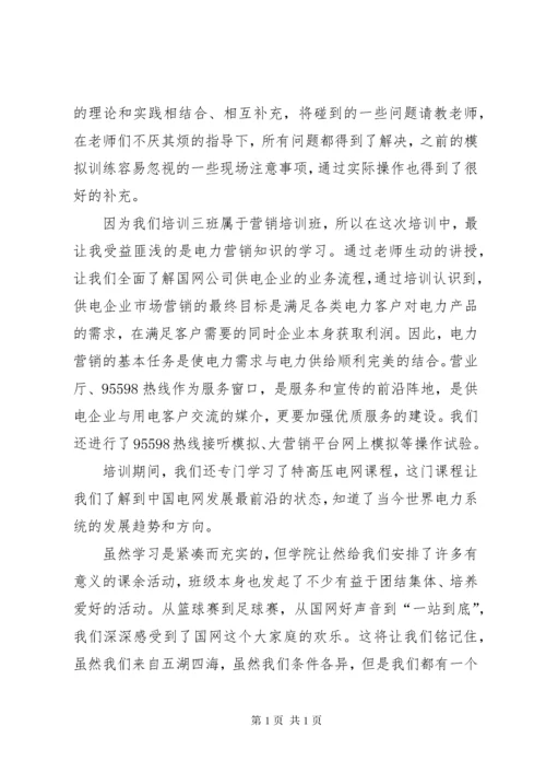 国家电网两会学习心得 (6).docx