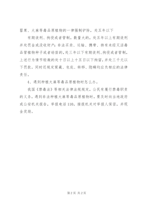 禁种铲毒宣传单.docx