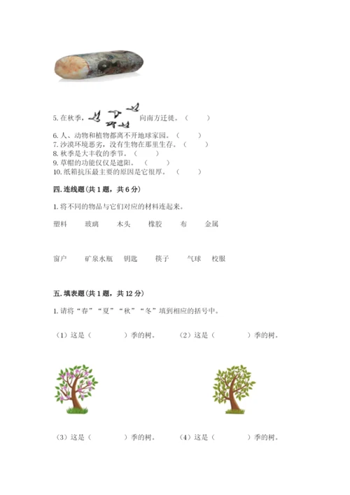 教科版二年级上册科学期末测试卷含答案【新】.docx