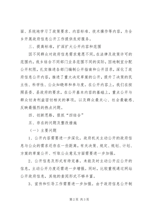 乡镇政府信息公开情况总结.docx