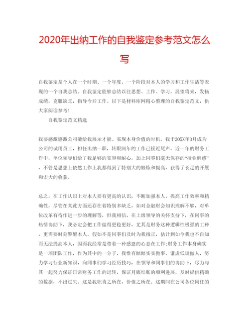 精编年出纳工作的自我鉴定参考范文怎么写.docx