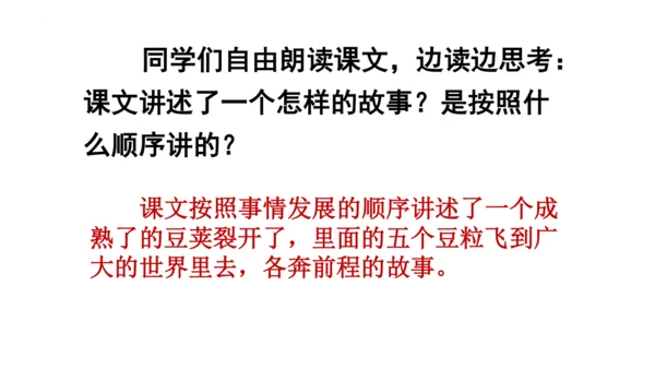 5《一个豆荚里的五粒豆》  课件