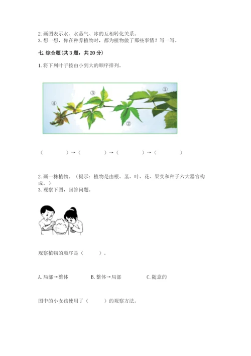 教科版科学一年级上册第一单元《植物》测试卷及完整答案1套.docx