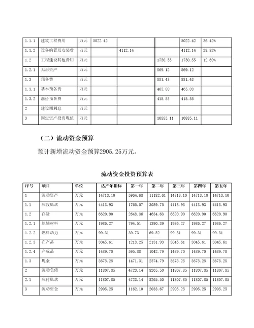 武汉新建头盔项目预算报告