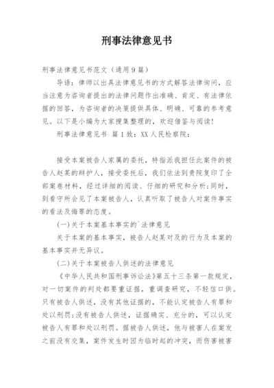 刑事法律意见书.docx