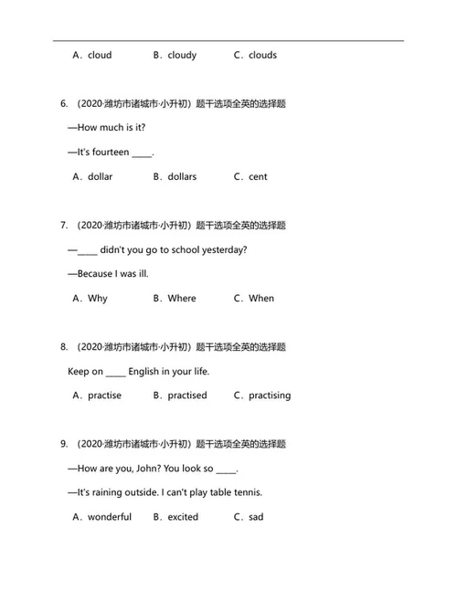 年山东潍坊小升初英语试卷word模板