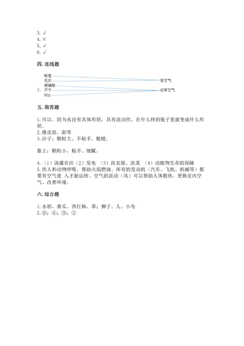 苏教版一年级下册科学期末测试卷附答案.docx