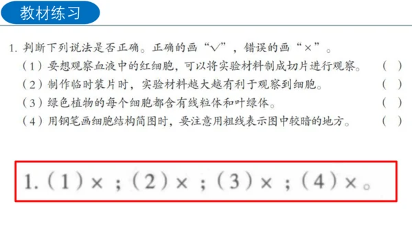 2.1.2 植物细胞（同步课件）-2023-2024学年七年级生物上册同步精品课堂（人教版）(共28