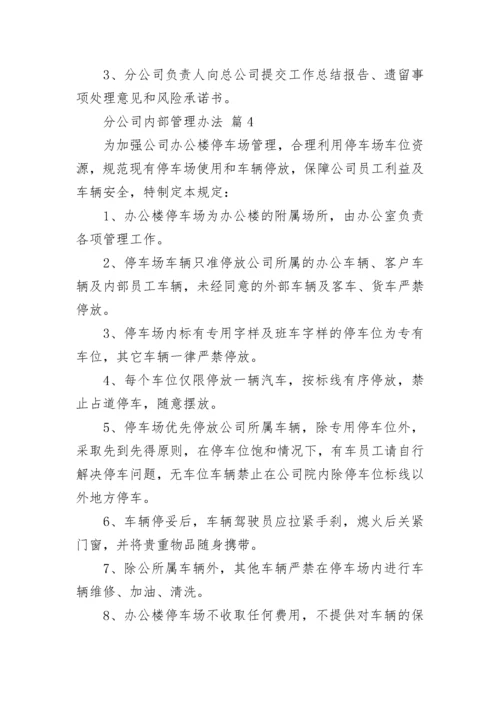 分公司内部管理办法_1.docx